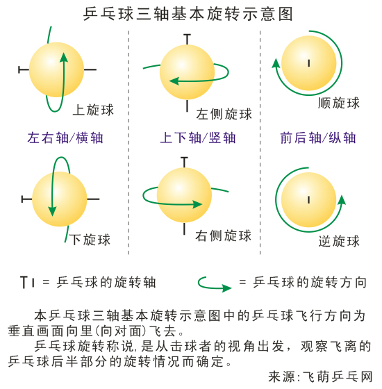 乒乓球三轴基本旋转示意图