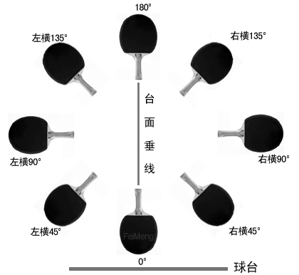 乒乓球拍横度术语示意图