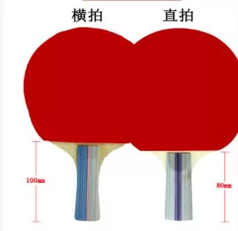 为什么横拍横行天下图h